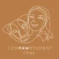 ComPawrtement Chien